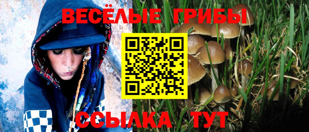 Нижний Тагил  Псилоцибиновые грибы Magic Shrooms  Псилоцибиновые грибы Psilocybine cubensis  Вход с VPN 