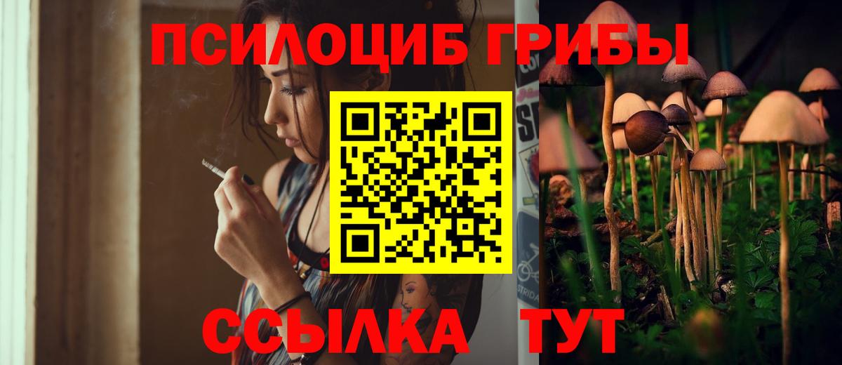 Галлюциногенные грибы Psilocybe Нижний Тагил